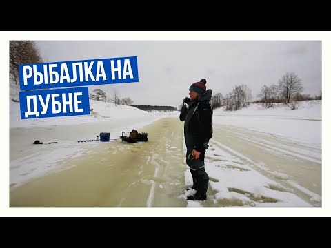 Видео: Рыбалка на Дубне \ Подледный мир с Владимиром Солоповым