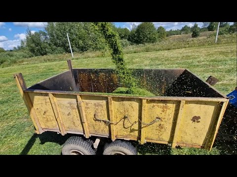 Видео: Поля - "отлетают как семечки" , кормовая база пополняется. / За Русь !
