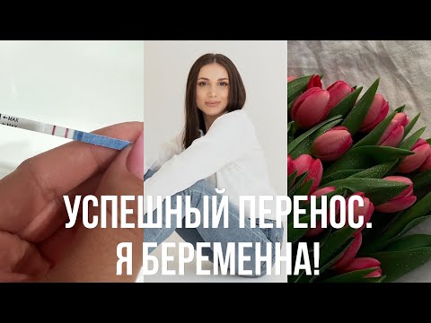 Видео: ЭКО. Победный протокол. Успешный перенос. 6 недель беременности