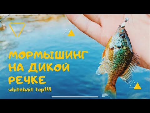 Видео: Мормышинг на дикой речке Ирпень.