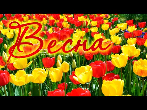 Видео: НЕЖНОСТЬ ВЕСНЫ! Эта Божественно красивая, завораживающая музыка любви создает потрясающее настроение