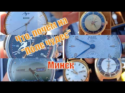 Видео: Что, почем на "Поле чудес". Минск