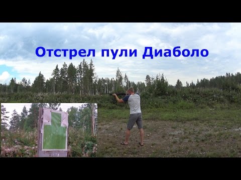 Видео: Отстрел пуль Диаболо с ружья МР-155. Стрельба по мишени.