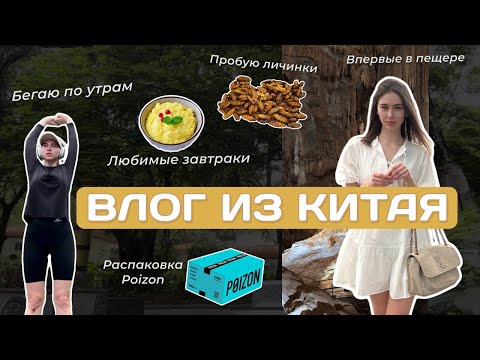 Видео: День со мной / Закаляю характер, удобные Celine, заказ с 1688