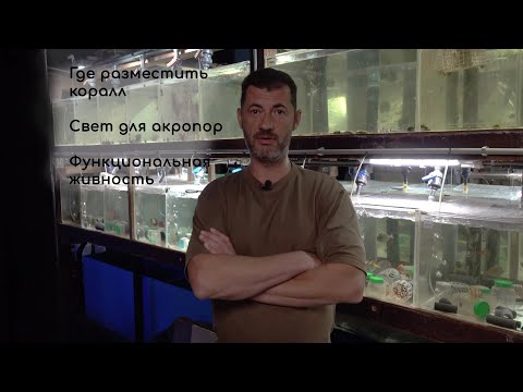 Видео: Как и где размещать новые кораллы. Свет для Акропор. Функциональная живность в море