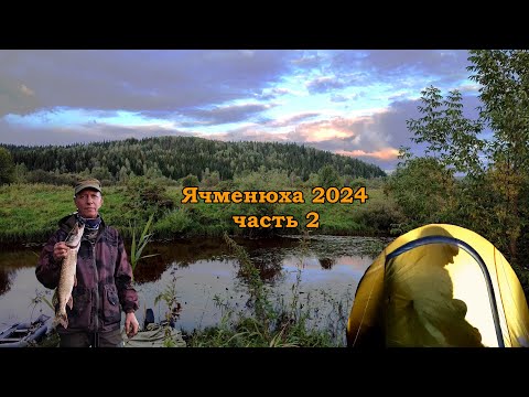 Видео: Ячменюха 2024. Рыбалка на малой речке.Часть 2. Продолжаем ловить зубатую!