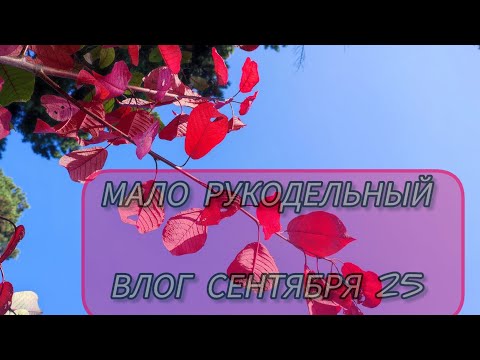 Видео: Малорукодельный влог сентября 25г.#rukivdelo #вязовлог 
