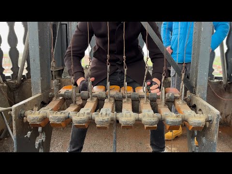 Видео: Колокола Розате играют с клавиатурой на Пасху во время грозы