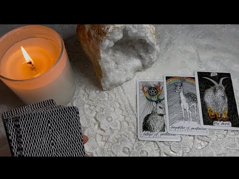 Видео: Кто напишет сообщение ⁉️