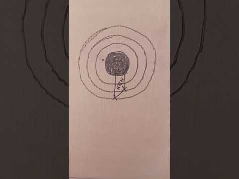 Видео: карабин тигр 308 win