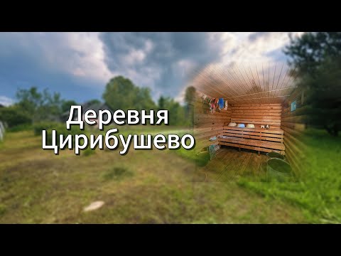 Видео: Продается уютный дом в живописной деревне Цирибушево: идеальное место для жизни и отдыха!