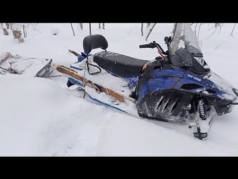 Видео: Продолжаю протаптывать дорогу на Тунгусе. Металлокоп.