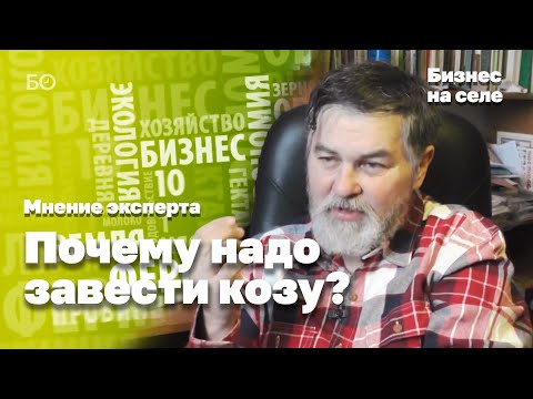 Видео: Мурат Сиразин. Почему в 2015 году надо завести козу?