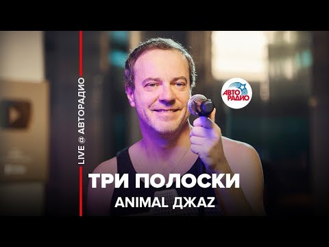 Видео: Animal ДжаZ - Три Полоски (LIVE @ Авторадио)