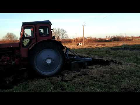 Видео: ЛТЗ Т40 , оранка , плуг 2/35.