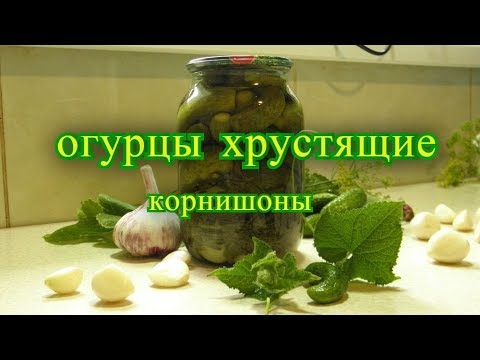 Видео: огурцы хрустящие на зиму  корнишоны