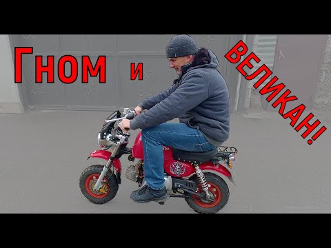Видео: Гном и ВЕЛИКАН