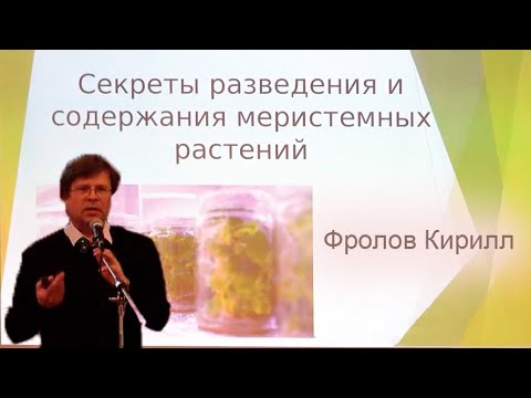 Видео: Лекция: Секреты разведения и содержания меристемных растений. Фролов Кирилл