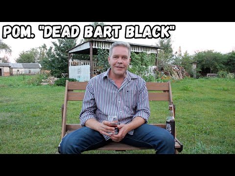 Видео: Ром. "Dead Bart Black"