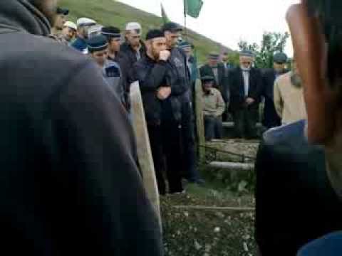 Видео: дибир махмуд 11