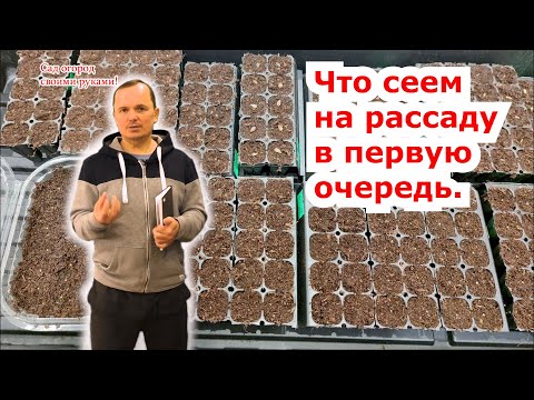 Видео: Сеем всю рассаду теперь только в порезанную кассету. Попробуйте.