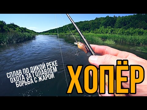 Видео: Река Хопер. Часть 1. Голавль на спиннинг в жару. Сплавная рыбалка.