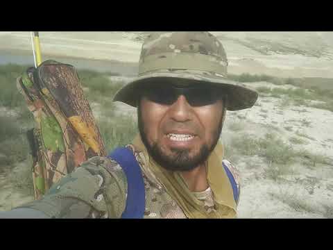 Видео: Кўргонтепа сув омборида балик ови.