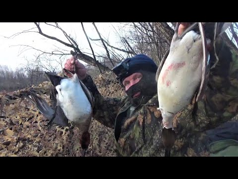 Видео: ВЕСНОВКА 2022 \ Часть 11 \ ОХОТА НА УТОК \ УДАЧНОЕ УТРО