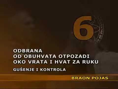Видео: Реальное айкидо  Приемы  коричневый пояс