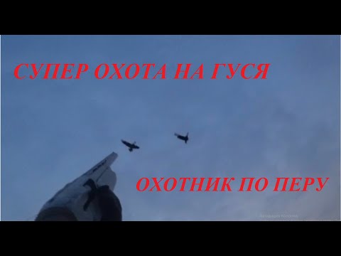 Видео: СУПЕР охота на гуся "Тысячи гусей день 2", манок "Минск"