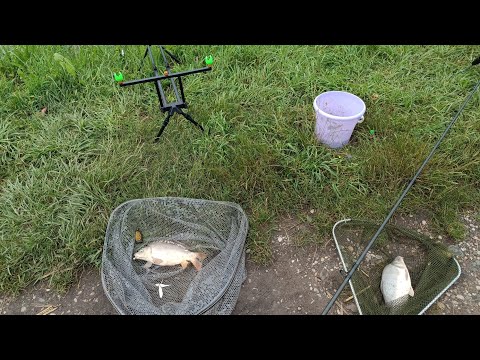 Видео: Рыбалка (КМВ), с.Садовое - Казачий Стан. Новый Родпод Kaida, сигнализаторы Mifine. Отличный клёв 👍