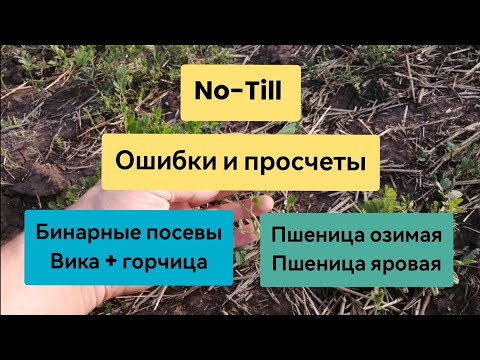 Видео: No-Till, ошибки и просчеты.