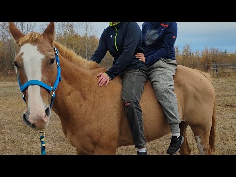 Видео: Работаем и играем  в Канаде 