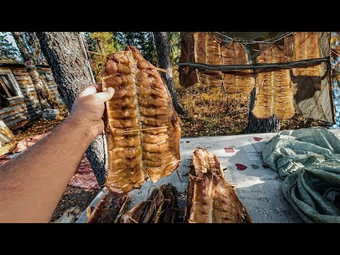 Видео: Юкола из щуки. Таежные рецепты от Удинцевых. Сезон 2023