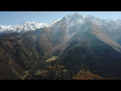 Видео: Осенний марафон. Ала-Арча, берёзовая роща Байрок.