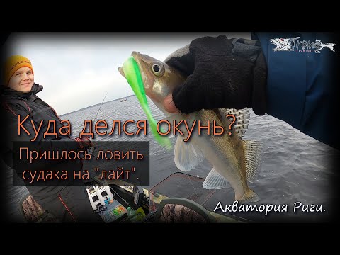 Видео: Куда делся окунь? ... Пришлось ловить судака на "лайт". Акватория Риги.