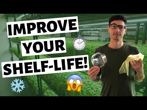 Видео: Как хранить микрозелень для более длительного срока годности