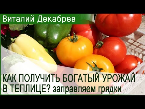 Видео: КАК ПОЛУЧИТЬ БОГАТЫЙ УРОЖАЙ В ТЕПЛИЦЕ? Заправляем грядки(210418)