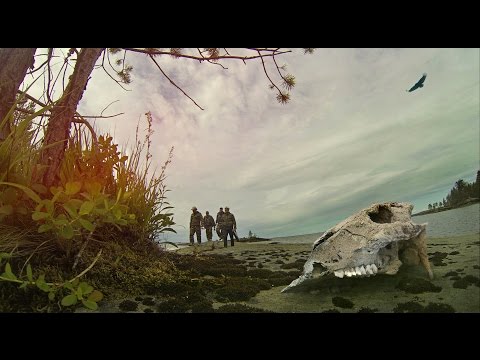 Видео: оз. Онежское, п.Шальский 2016г.