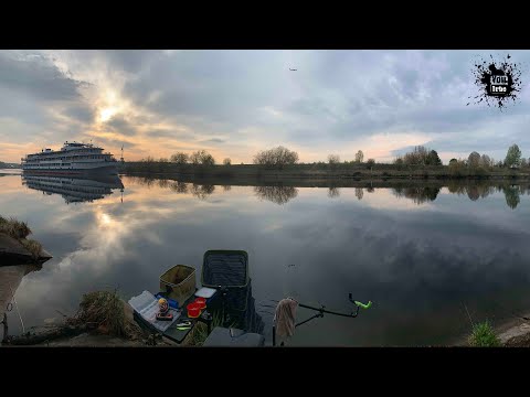 Видео: Новосельцево, Рыбалка на канале им Москвы. Лещ , подлещ, густера, плотва, уклейка, окунь, ерш, ротан