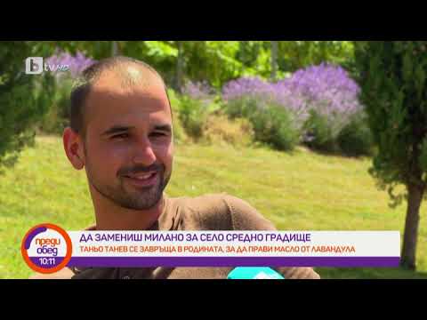 Видео: Преди обед: Какъв е пътят на лавандулата от полето до дестилерията?