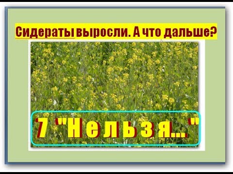 Видео: 132_Сидераты выросли. А что дальше? Семь "Нельзя..."