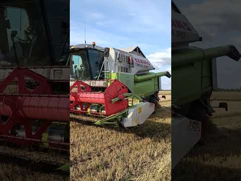 Видео: Уборка ячменя 2025.