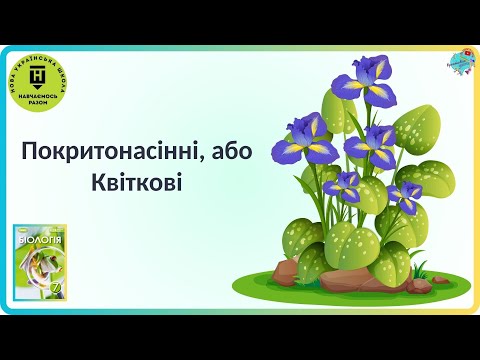 Видео: Покритонасінні, або Квіткові