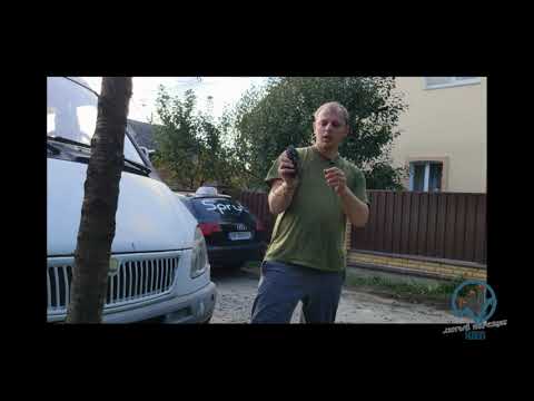 Видео: Камера заднего вида в авто