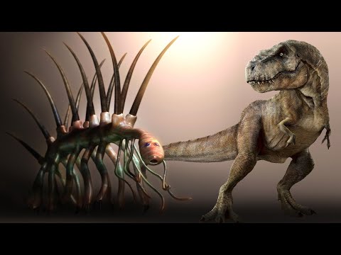 Видео: Галлюцигения. Самый Удивительный Доисторический Монстр