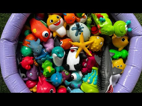 Видео: Изучаем морских животных для детей | Игрушки и интересные факты о морских животных для малышей | ...