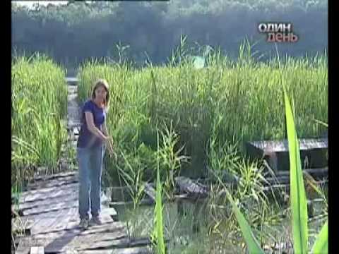 Видео: Озеро Берестувате - "болото" ханських скарбів. 14.VІІІ.2009 р.