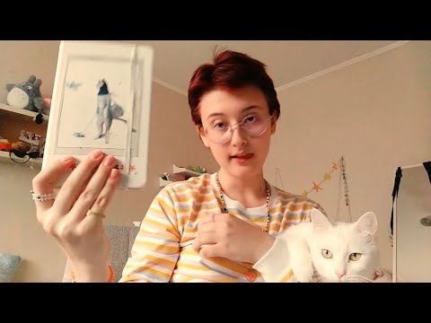 Видео: обзор скечпука