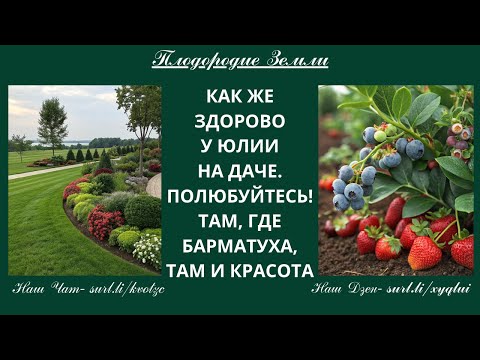 Видео: Два сезона с барматухой и вот такая красота на даче №53/25